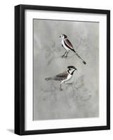 Silvered Aviary IV-Naomi McCavitt-Framed Art Print