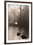 Silvered Morning Pond-Heather Ross-Framed Giclee Print