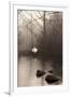 Silvered Morning Pond-Heather Ross-Framed Giclee Print