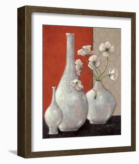 Silverleaf And Poppies I-Janet Kruskamp-Framed Art Print