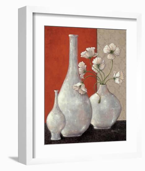 Silverleaf And Poppies I-Janet Kruskamp-Framed Art Print