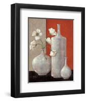 Silverleaf And Poppies II-Janet Kruskamp-Framed Art Print