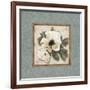 Silversage Flower I-Elizabeth Medley-Framed Art Print