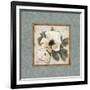 Silversage Flower I-Elizabeth Medley-Framed Art Print