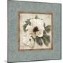 Silversage Flower I-Elizabeth Medley-Mounted Art Print