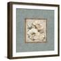Silversage Flower II-Elizabeth Medley-Framed Premium Giclee Print