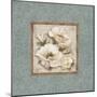 Silversage Flower II-Elizabeth Medley-Mounted Premium Giclee Print
