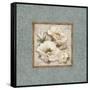 Silversage Flower II-Elizabeth Medley-Framed Stretched Canvas