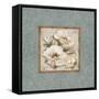 Silversage Flower II-Elizabeth Medley-Framed Stretched Canvas