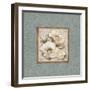 Silversage Flower II-Elizabeth Medley-Framed Art Print