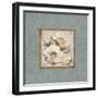 Silversage Flower II-Elizabeth Medley-Framed Art Print