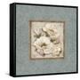 Silversage Flower II-Elizabeth Medley-Framed Stretched Canvas