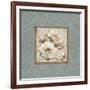 Silversage Flower II-Elizabeth Medley-Framed Art Print