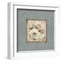 Silversage Flower II-Elizabeth Medley-Framed Art Print