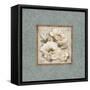 Silversage Flower II-Elizabeth Medley-Framed Stretched Canvas