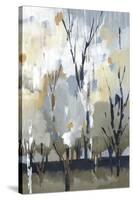 Silversong Birch I-null-Stretched Canvas