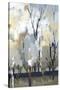 Silversong Birch I-null-Stretched Canvas