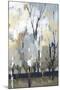 Silversong Birch I-null-Mounted Art Print