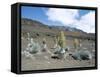 Silverswords, Growing in Vast Crater of Haleakala, Maui-Robert Francis-Framed Stretched Canvas