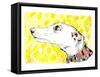 Silvertips The Greyhound, 2012-Jo Chambers-Framed Stretched Canvas