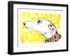 Silvertips The Greyhound, 2012-Jo Chambers-Framed Giclee Print