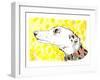 Silvertips The Greyhound, 2012-Jo Chambers-Framed Giclee Print