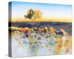 Silverton View-Craig Trewin Penny-Stretched Canvas