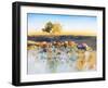 Silverton View-Craig Trewin Penny-Framed Art Print