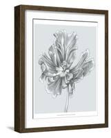 Silvery Blue Tulips III-Jennifer Goldberger-Framed Art Print