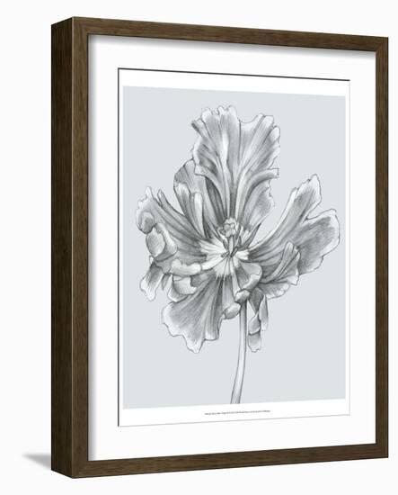 Silvery Blue Tulips III-Jennifer Goldberger-Framed Art Print