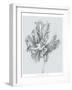 Silvery Blue Tulips III-Jennifer Goldberger-Framed Art Print