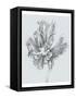 Silvery Blue Tulips III-Jennifer Goldberger-Framed Stretched Canvas