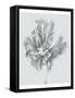 Silvery Blue Tulips III-Jennifer Goldberger-Framed Stretched Canvas
