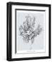 Silvery Blue Tulips III-Jennifer Goldberger-Framed Art Print