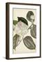 Silvery Botanicals III-Vision Studio-Framed Art Print