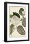 Silvery Botanicals III-Vision Studio-Framed Art Print