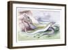 Silvery Hairtail and Scabbard Fish-Robert Hamilton-Framed Art Print