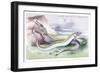 Silvery Hairtail and Scabbard Fish-Robert Hamilton-Framed Art Print