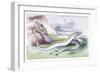 Silvery Hairtail and Scabbard Fish-Robert Hamilton-Framed Art Print