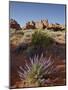 Silvery Lupine (Lupinus Argenteus) With Red Rock Fins, Arches National Park, Utah-James Hager-Mounted Photographic Print