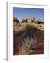 Silvery Lupine (Lupinus Argenteus) With Red Rock Fins, Arches National Park, Utah-James Hager-Framed Photographic Print