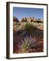 Silvery Lupine (Lupinus Argenteus) With Red Rock Fins, Arches National Park, Utah-James Hager-Framed Photographic Print