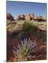 Silvery Lupine (Lupinus Argenteus) With Red Rock Fins, Arches National Park, Utah-James Hager-Mounted Photographic Print