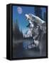 Silvery Moon-Gordon Semmens-Framed Stretched Canvas