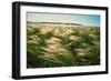 Silvery Steppe Grass Bends to the Wind in Tuva's Grasslands., 2003 (Photo)-Sisse Brimberg-Framed Giclee Print