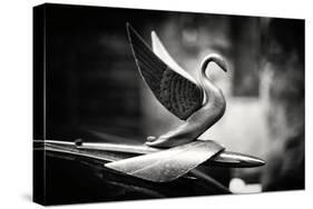 Silvery Swan-Lee Frost-Stretched Canvas