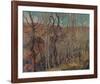 Silvery Tangle-Franklin Carmichael-Framed Giclee Print