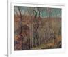 Silvery Tangle-Franklin Carmichael-Framed Giclee Print