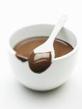 Chocolate Coated Spoon on a Bowl of Melted Chocolate-Silvia Baghi-Stretched Canvas