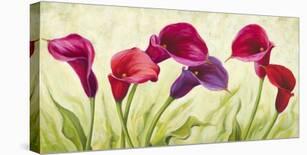 Tulipani danzanti-Silvia Mei-Stretched Canvas